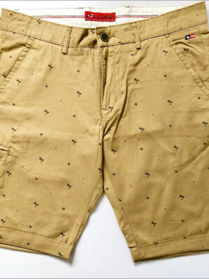 Mens Fancy Shorts